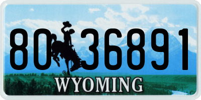 WY license plate 8036891