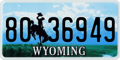 WY license plate 8036949