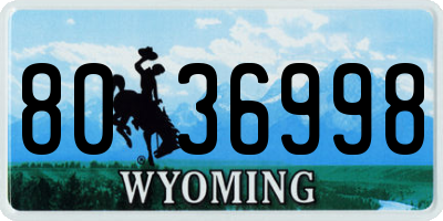 WY license plate 8036998