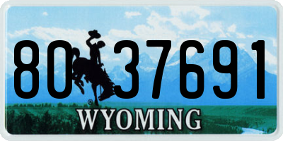 WY license plate 8037691