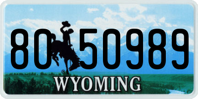 WY license plate 8050989