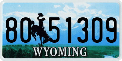 WY license plate 8051309