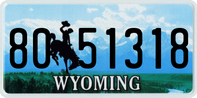 WY license plate 8051318