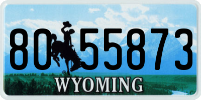 WY license plate 8055873