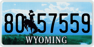 WY license plate 8057559