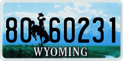 WY license plate 8060231