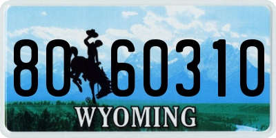 WY license plate 8060310