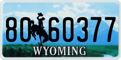 WY license plate 8060377