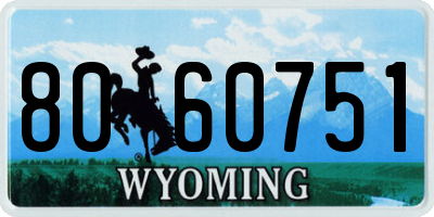 WY license plate 8060751