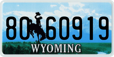 WY license plate 8060919