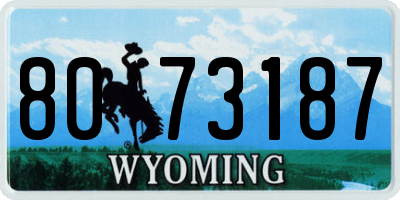 WY license plate 8073187