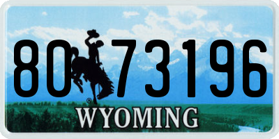 WY license plate 8073196
