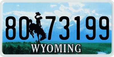 WY license plate 8073199