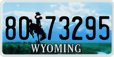 WY license plate 8073295