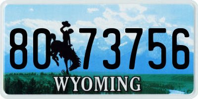 WY license plate 8073756