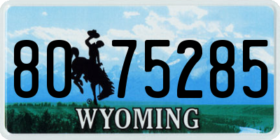 WY license plate 8075285