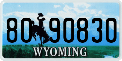 WY license plate 8090830