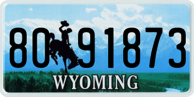 WY license plate 8091873