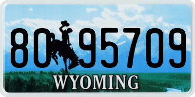 WY license plate 8095709