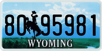 WY license plate 8095981