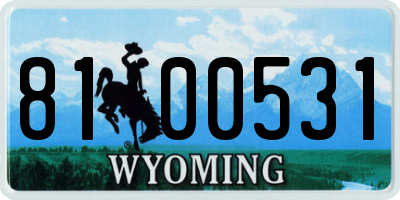 WY license plate 8100531