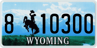 WY license plate 810300