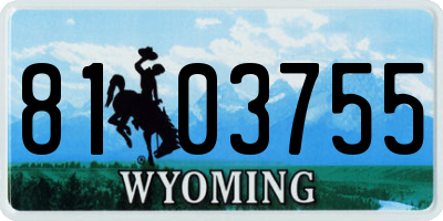 WY license plate 8103755