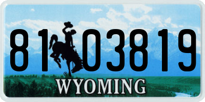 WY license plate 8103819