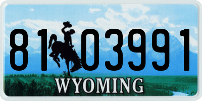 WY license plate 8103991