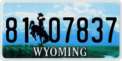 WY license plate 8107837