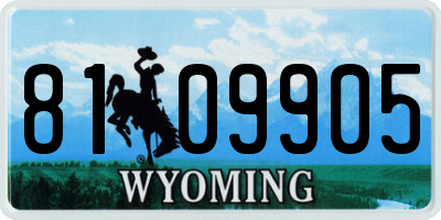 WY license plate 8109905