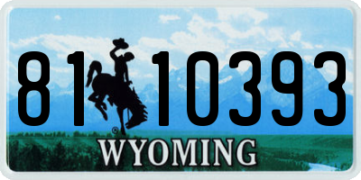 WY license plate 8110393