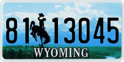 WY license plate 8113045