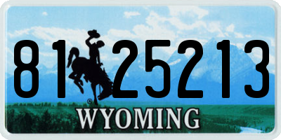 WY license plate 8125213