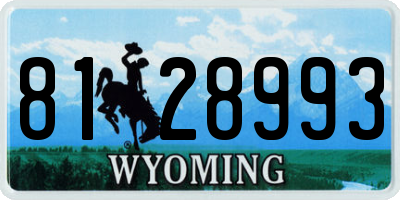 WY license plate 8128993