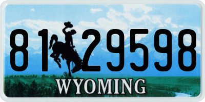 WY license plate 8129598