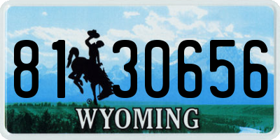 WY license plate 8130656