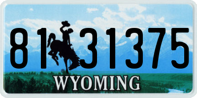 WY license plate 8131375