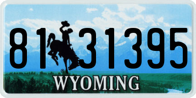 WY license plate 8131395