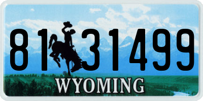 WY license plate 8131499