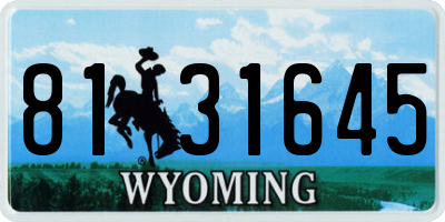 WY license plate 8131645