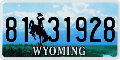 WY license plate 8131928