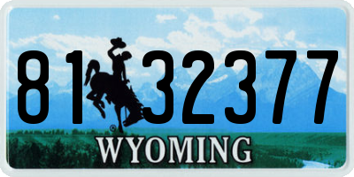 WY license plate 8132377
