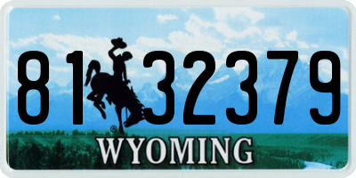 WY license plate 8132379