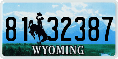 WY license plate 8132387