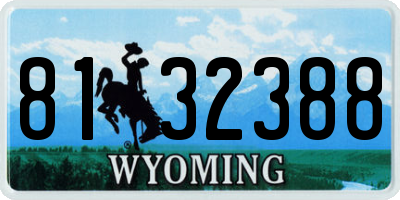 WY license plate 8132388
