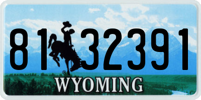 WY license plate 8132391