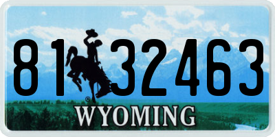 WY license plate 8132463