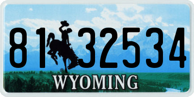 WY license plate 8132534
