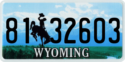 WY license plate 8132603